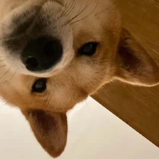 👀