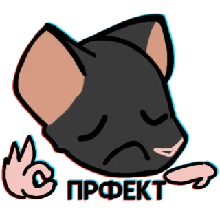🐀