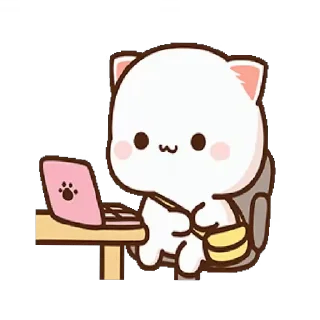 💻