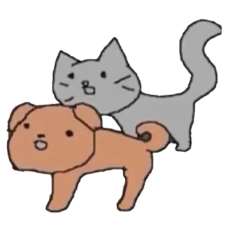 🐈