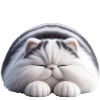 😴
