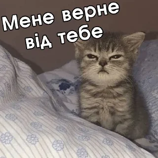 😒