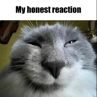😊