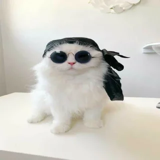 😎