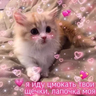 💗