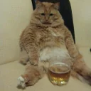 🍺