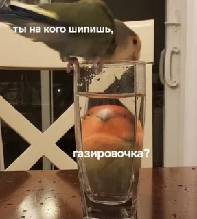 🍹