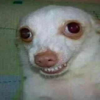 😬