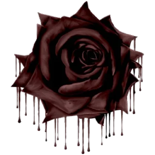 🌹