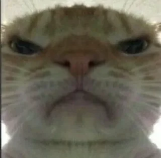 😒