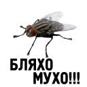 🐝