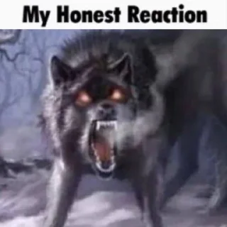 🤬