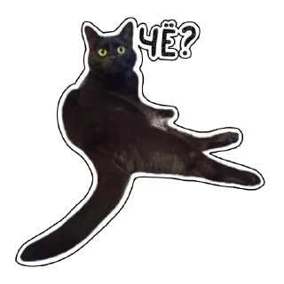 ❓