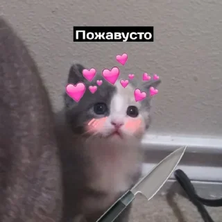 🥺