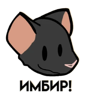 🐀