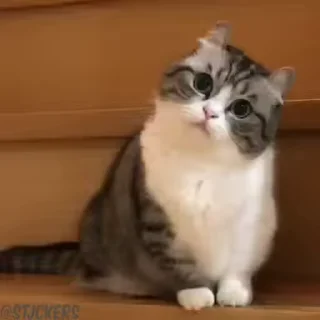 🙄