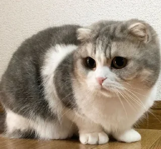 😔