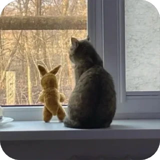 😢