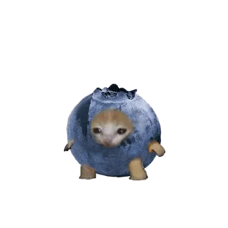 🥝