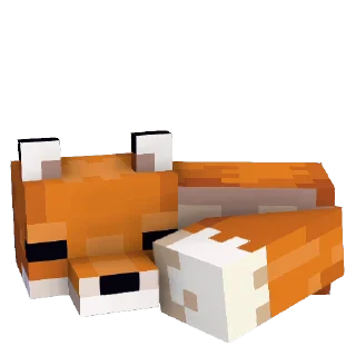 💤