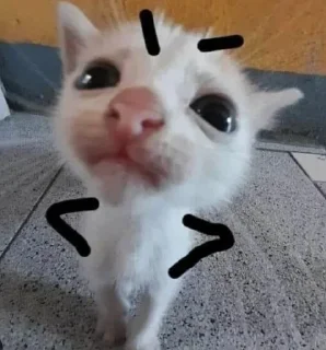 🤨