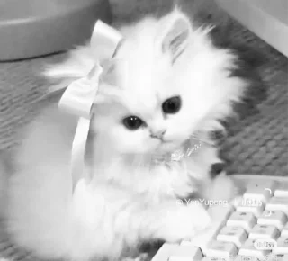 🥺