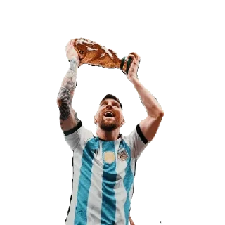 🇦🇷