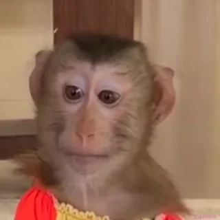 😕