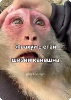 😨