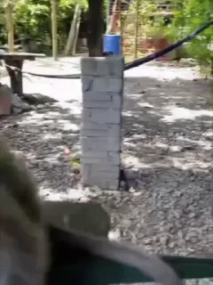 🤩