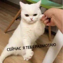 😡