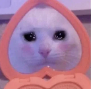 😭