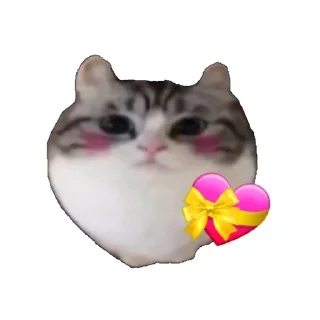 💝