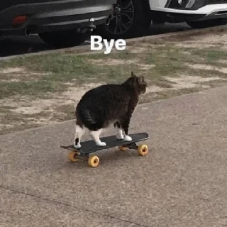 😺