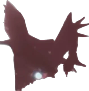 😨