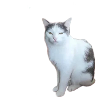 😒
