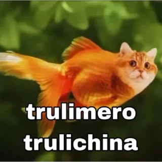 😺