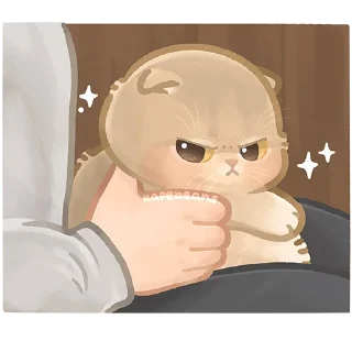 😠