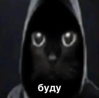 😎