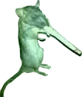 🚬