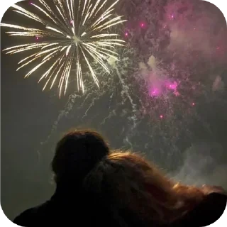 🎆