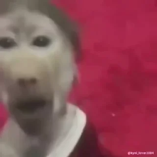 😳