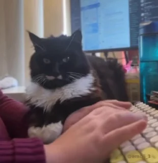 ⌨️
