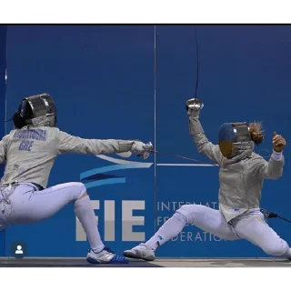 🤺