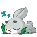 😴
