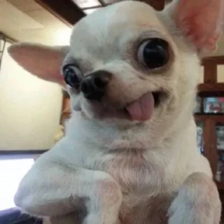 😜