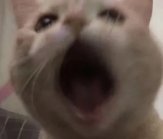 😯
