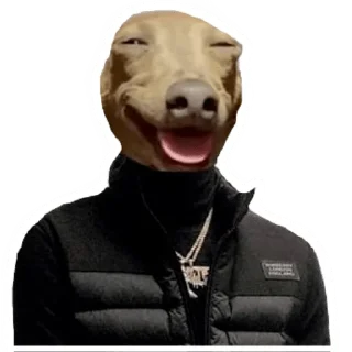 🐶