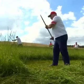🧹