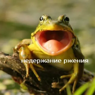😂